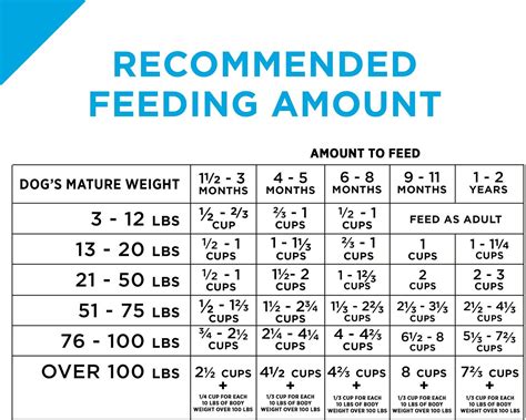 Puppy Feeding Guide Chart