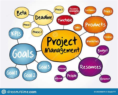 Project Management Mind Map Flowchart Stock Illustration Illustration