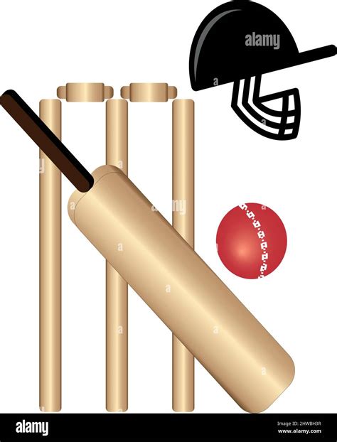 Cricket Vector Illustration Stock Vector Image And Art Alamy