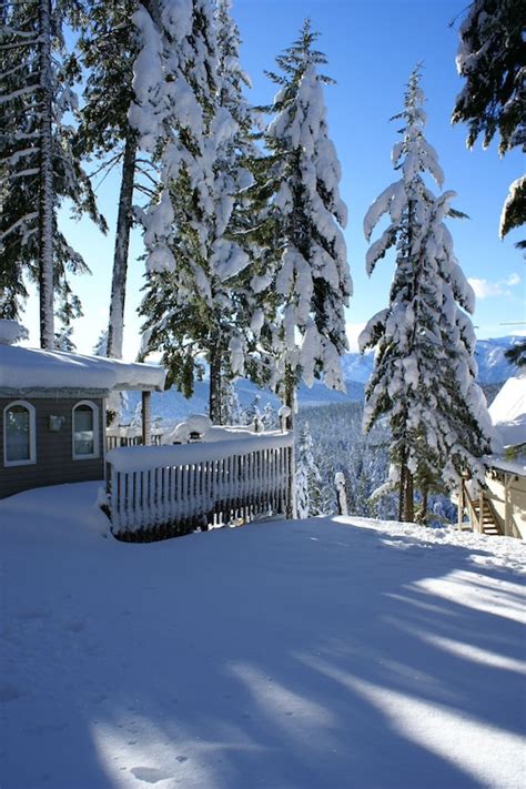 Eagles Nest Cabin Remote Escape Away From Everything Chelan County