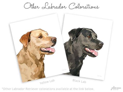 Yellow Lab Art Print Yellow Labrador Retriever Art Labrador Etsy