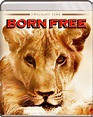 CULTURALMENTE INCORRECTO: "Born Free": La historia de "Elsa", la leona ...