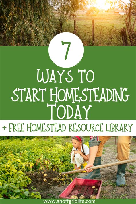 7 Ways To Start Homesteading Today Off Grid Living Homesteading Off