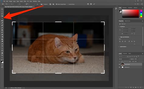 Cómo recortar una imagen en Photoshop en unos sencillos pasos