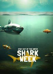 Watch Shark Week Season Episode Naked And Afraid Of Sharks