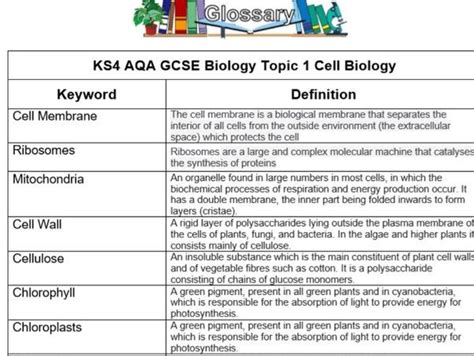 Ks4 Aqa Gcse Glossary B1 T1 Cell Biology Combined Or Separate