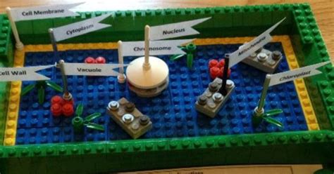 One fun way to learn it is by knowing animal cell model ideas. Lego version of a plant cell | Plant cell model, Plant ...