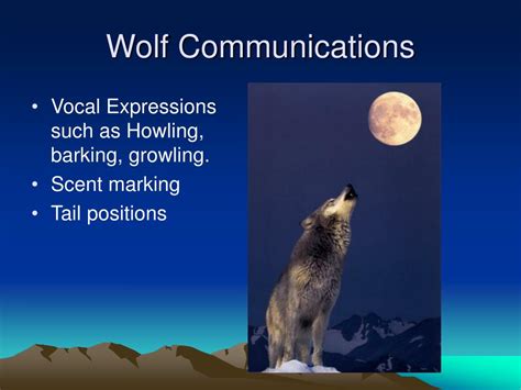 Ppt Wolf Presentation Powerpoint Presentation Free Download Id359082