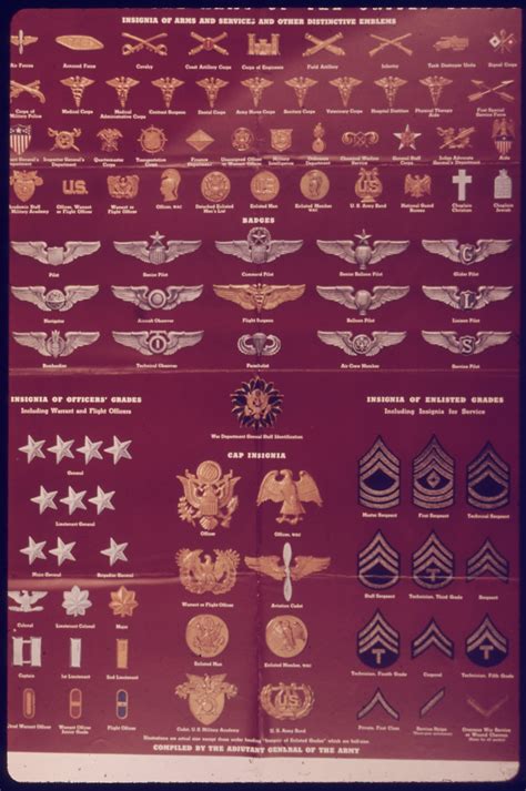 Us army enlisted insignias by rank. United States Army enlisted rank insignia of World War II ...