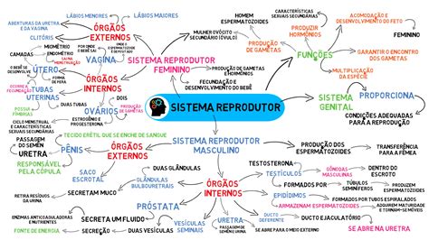 Mapa Mental Resumo Sistema Reprodutor Com Ciência Hotmart