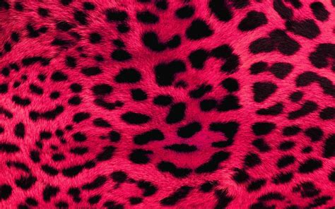 Cute Neon Animal Print Wallpapers On Wallpaperdog