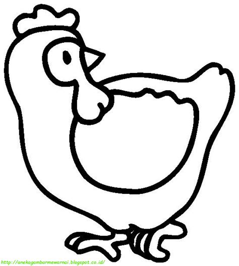 Sebagian besar ayam dipelihara dan diternakan untuk dimanfaatkan daging. 15 Gambar Mewarnai Ayam Untuk Anak PAUD dan TK