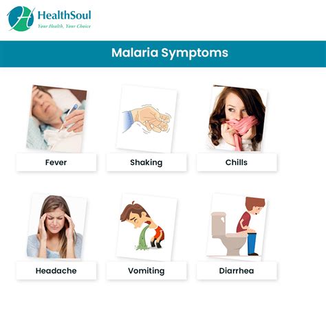 Malaria Symptoms Diagnosis And Treatment Healthsoul