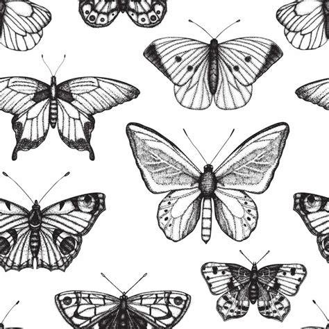 Black And White Butterfly Wallpaper Peel And Stick Or Non Pasted