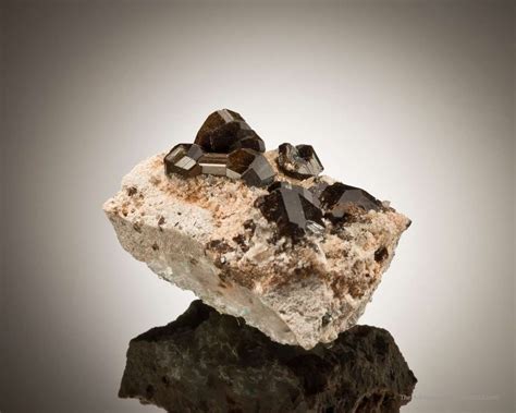 buergerite tuc  mexquitic mexico mineral specimen