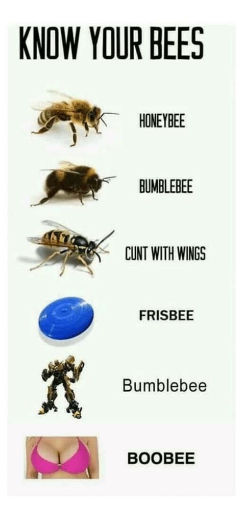 Beesirl Rbeeirl