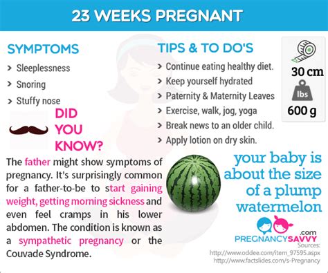 23 Weeks Pregnant 23 Weeks Pregnant And Pregnancy