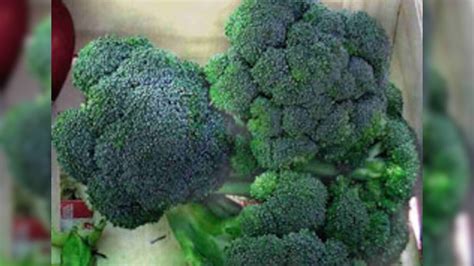 Broccoli Reduces Hereditary Cancer Risks