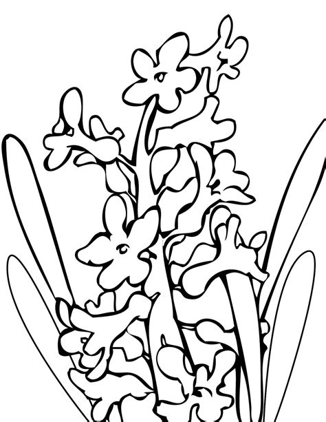 Desene de colorat cu vaza de flori. universul copiilor: Imagini de colorat zambila