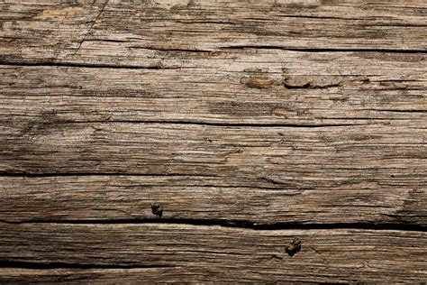 Free High Resolution Wood Textures Wild Textures