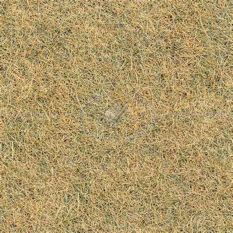 Dry Grass Texture Seamless 12932