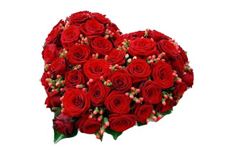 Whether youre a florist an interior design company a hotelier or a romance blog weve got the right rose pictures to suit your needs. Red Rose Guldasta Png