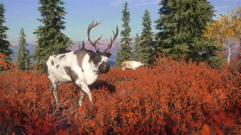 Thehunter Call Of The Wild — Yukon Valley On Ps4 — Price History