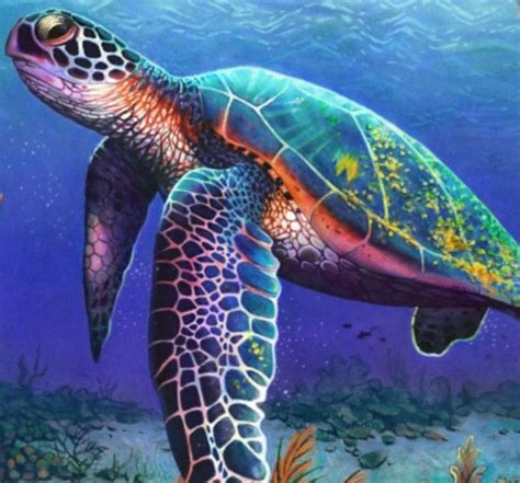 Amazing Colored Pencil Drawing Of A Sea Turtle Turtle Drawing Turtle