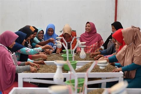 Foto Buah Pemberdayaan UMKM BRI Kopi Asal Takengon Aceh Berhasil