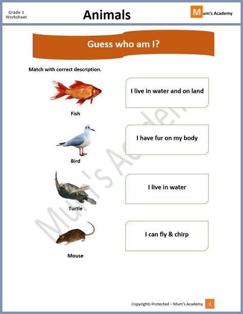Grade 1 Animal Features Worksheet