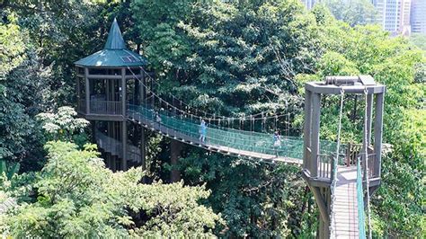 Although kl forest eco park is one of the oldest permanent forest reserves in malaysia it now boasts one of kuala lumpur's latest attractions, an impressive 200m canopy walk, providing visitors with a wonderful. KL Forest Eco Park - Visit Selangor