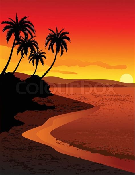 Tropical Beach Sunset Stock Vector Colourbox