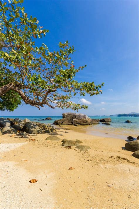 Phuket Nai Yang Beach At Low Tide Stock Image Image Of Exotic Blue