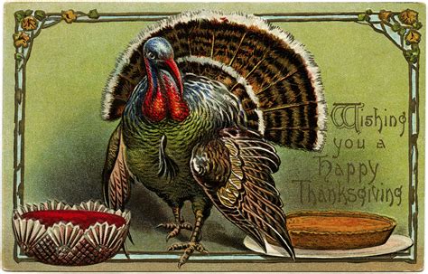 Thanksgiving Turkey Postcard Old Design Shop Blog