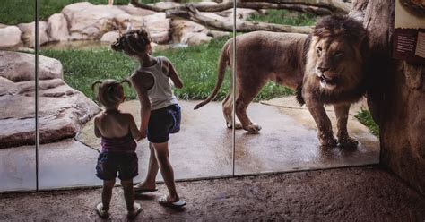 The Fort Wayne Childrens Zoo In Autumn Visit Fort Wayne Insider