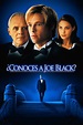 ¿Conoces a Joe Black? (1998) — The Movie Database (TMDB)