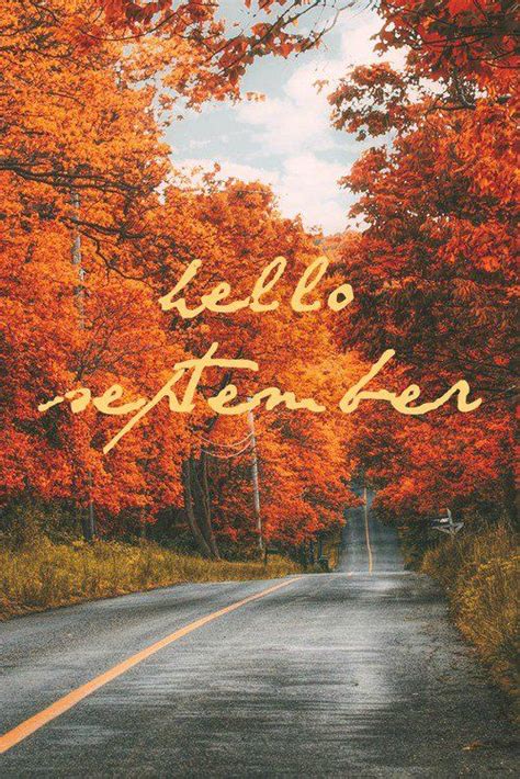 Hello September Word In Road Colorful Autumn Trees Forest Background Hd