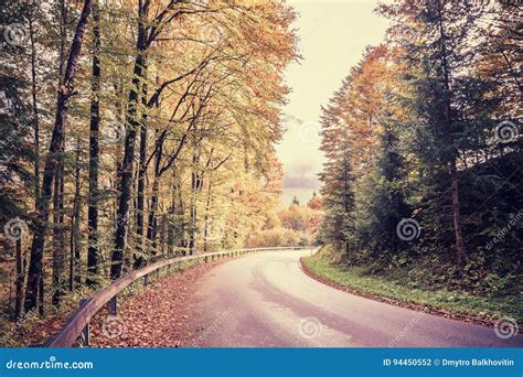 Vintage Road Through Autumn Forest Stock Photo Image Of Landscape