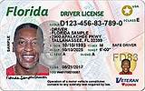 Images of Florida Drivers License Permit Test