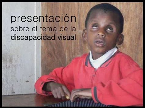 Ppt Presentación Sobre El Tema De La Discapacidad Visual Powerpoint