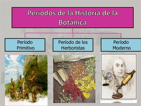 Historia De La Botánica