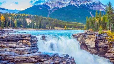 Athabasca Falls Outdoor Activities Getyourguide