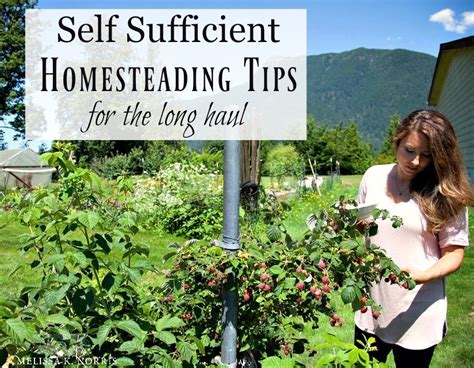 Self Sufficient Homesteading Tips For The Long Haul Melissa K Norris