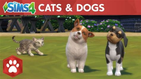 Dogs Rule And Cats Drool In The Latest Expansion For The Sims 4 Plus