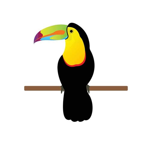 Colorful Toucan Sitting On A Branch Isolated On White Background