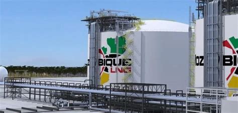 Mozambique Lng Project On Track Total Confirms Pumps Africa