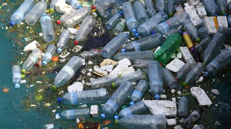 Everyday Plastics Can Pollute Leaching Thousands Of Chemicals