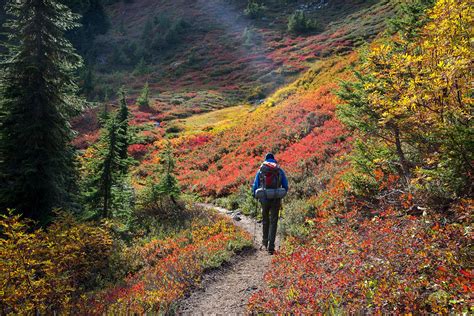 Fall Foliage Tours And Drives In Western Pennsylvania