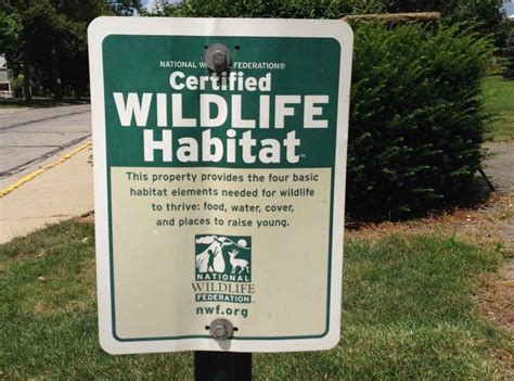 Turn Your Yard Into A Certified Wildlife Habitat