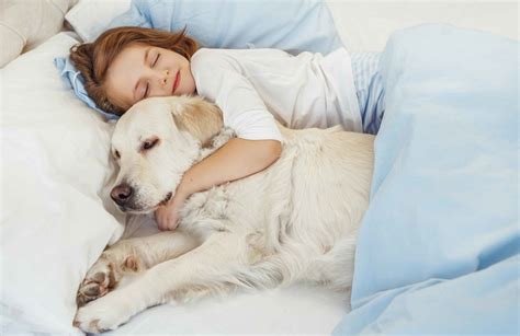 11 Most Affectionate Dog Breeds That Love To Cuddle